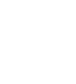RV Experience